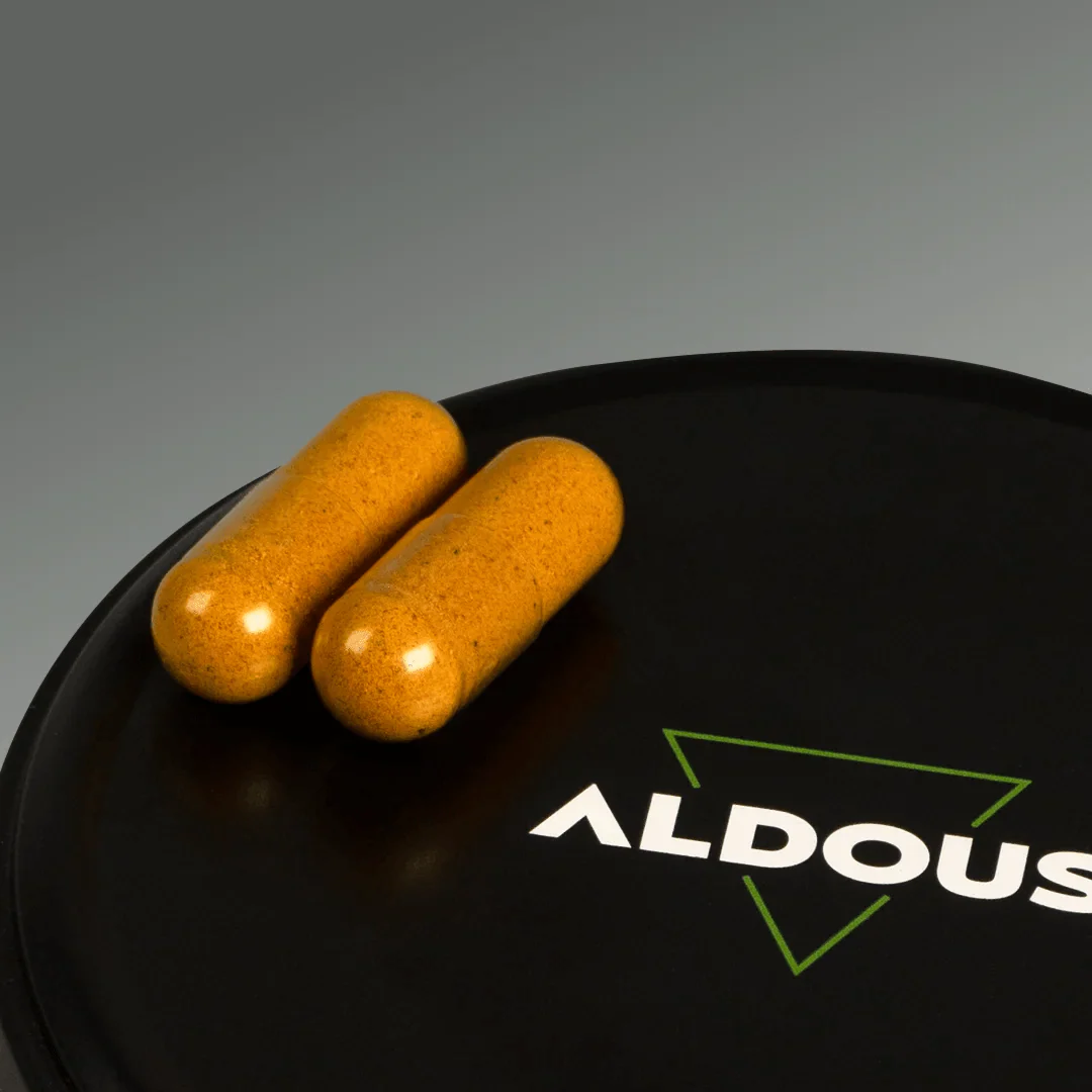 Cúrcuma Ecológica con Jengibre, Pimienta Negra y Probióticos - Image 5