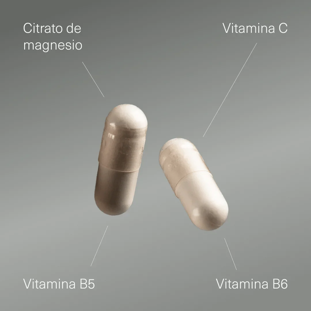 Citrato de magnesio con Vitamina C, B5 y B6 - Image 3