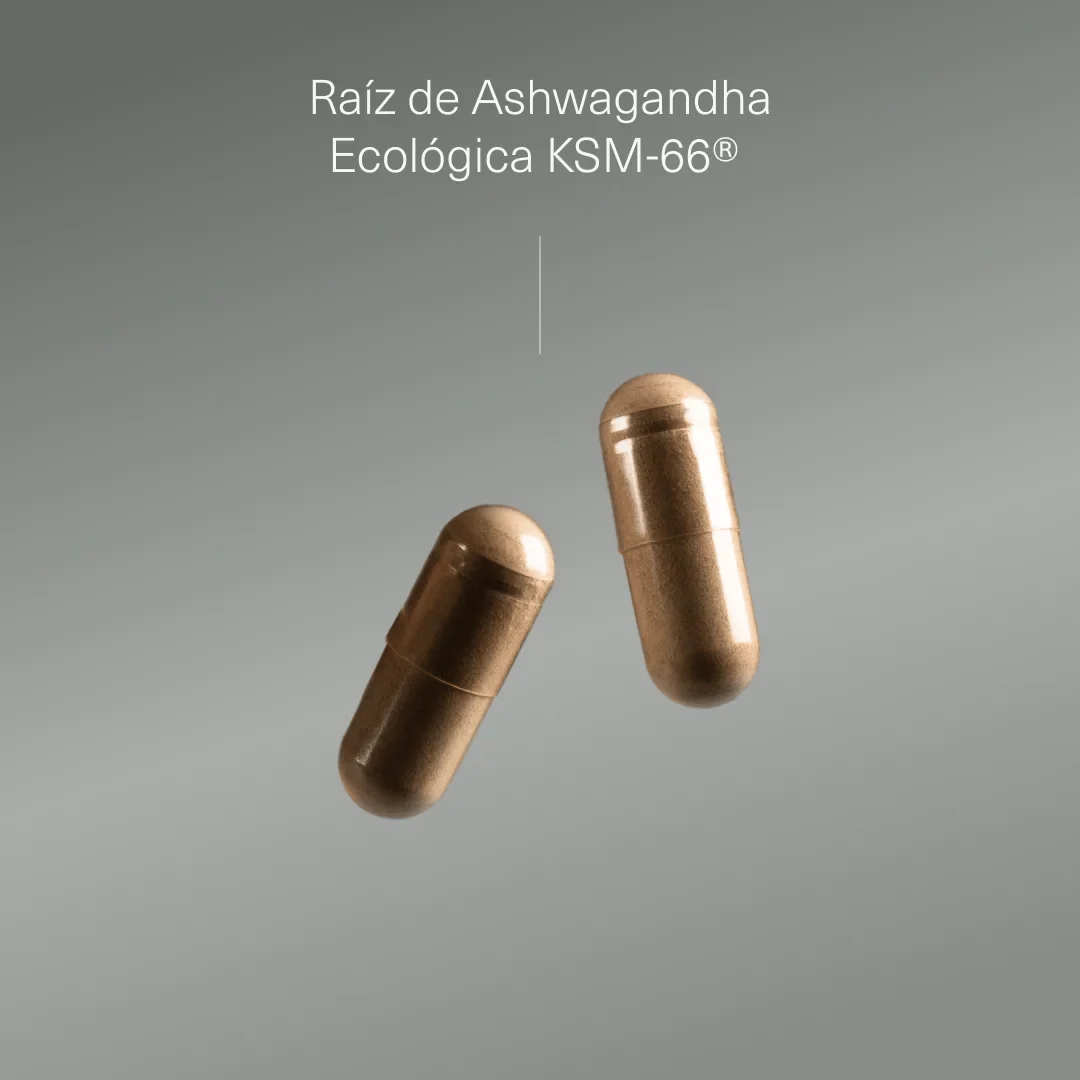 Extracto de Raíz de Ashwagandha KSM-66 ® Ecológico - Image 3